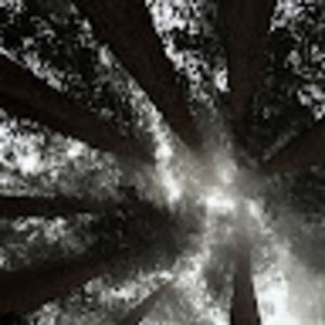 Meet your Posher, Fletcher